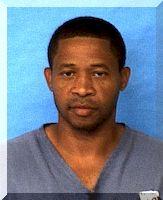 Inmate Daltonica Shorter