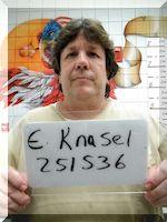 Inmate Earl Knasel