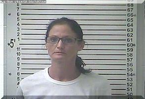 Inmate Celestia Marie Hauler