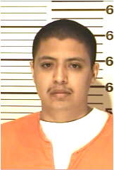 Inmate HERRERAVALDOVINOS, ROLANDO