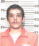 Inmate ALFIERI, DAVID J