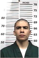 Inmate FLORES, JORGE A