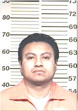 Inmate CERVANTESROSA, MARIO A