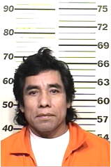 Inmate SALMERONMORALES, ISABEL