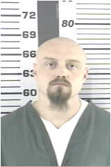 Inmate MICKELSON, COREY R