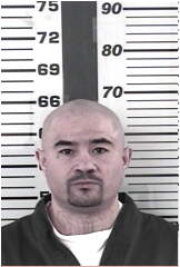 Inmate MCLEMEE, TYSON R
