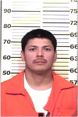 Inmate MOSQUEDARAMIREZ, GUSTAVO