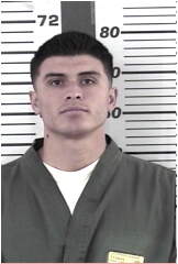 Inmate LIZARRAGAVENEGAS, JESUS A