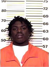 Inmate JOHNSON, TREVELLE K