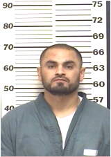 Inmate GALLARDOPARTIDA, ARMANDO