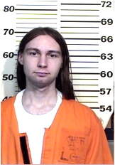 Inmate MCILVEENE, MICHAEL A