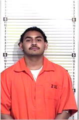 Inmate MEDINAMONTEJANO, HECTOR I