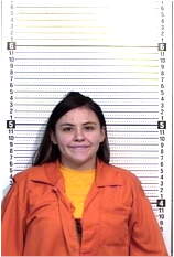 Inmate FLORES, MAYRA M