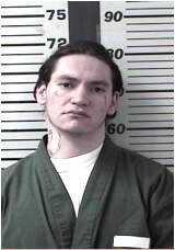 Inmate WIDICK, BRADLEY W