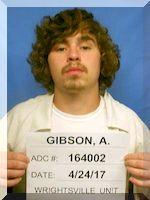 Inmate Austin B Gibson